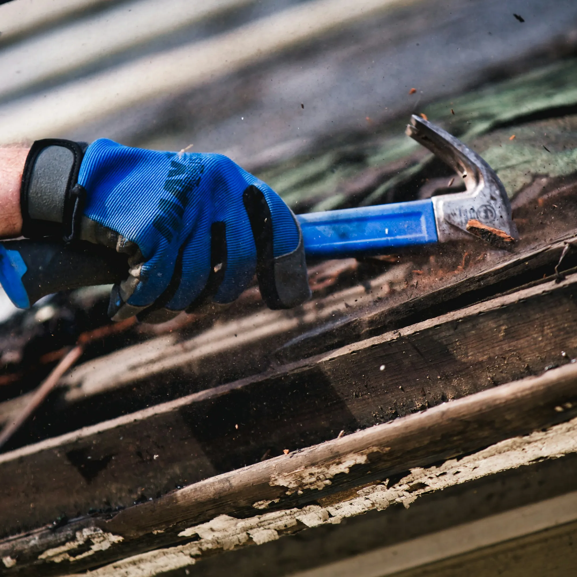 Gloved hand with a hammer repairing boards under a shingle course